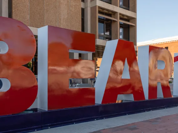 Bear Down Sign