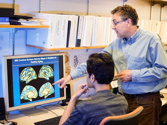 Faculty Gene Alexander educating student on brain image