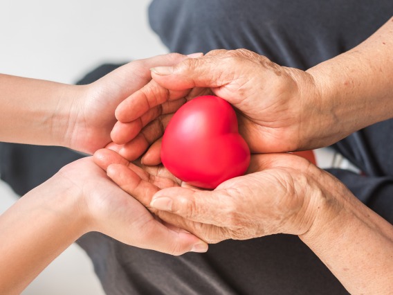 Older adult hands and caregiver hands holding red heart 