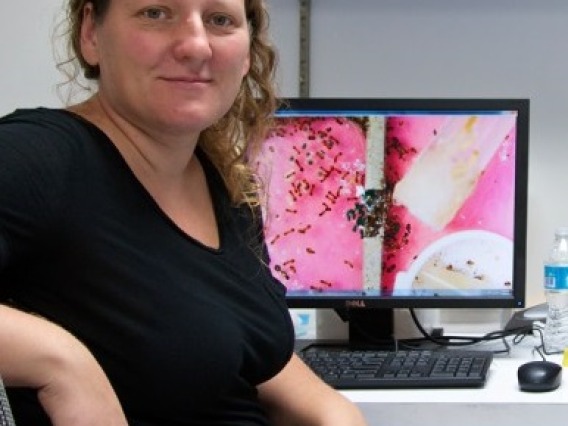 Anna Dornhaus photo in front of computer