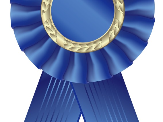 Blue ribbon award