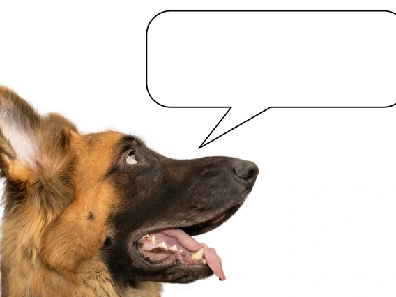 Profile of German Shepherd head on left with blank speech bubble on right