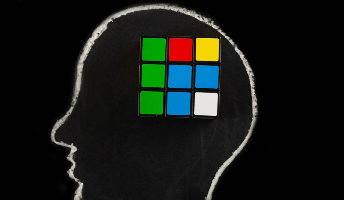 outline of brain with Rubix cube inside