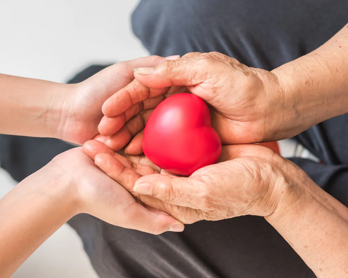 Older adult hands and caregiver hands holding red heart 