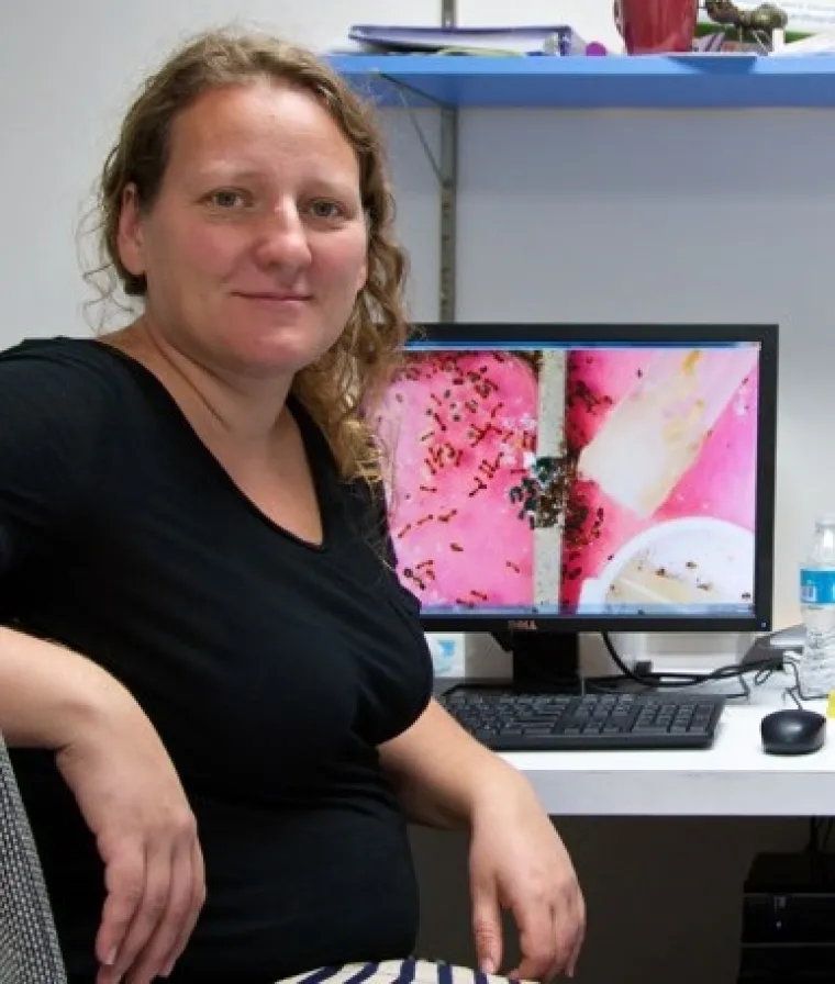 Anna Dornhaus photo in front of computer