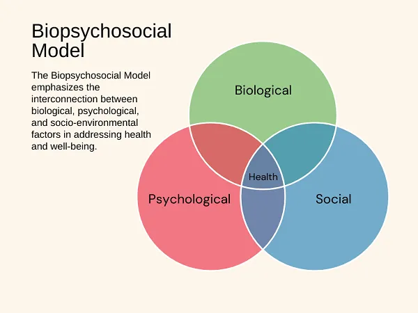 Biopsychosocial Model