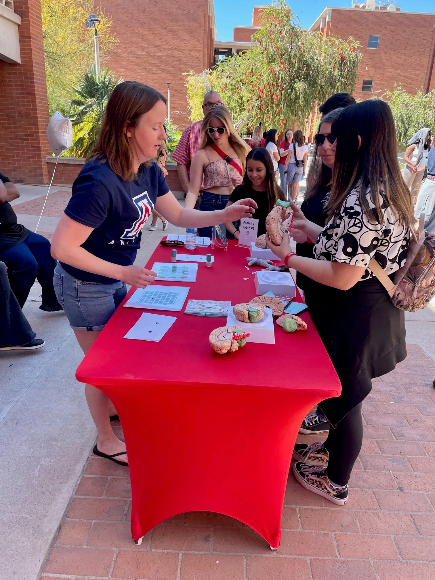 faculty demonstrating brains