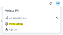 Screenshot of Profile Settings when delegating travel authorization